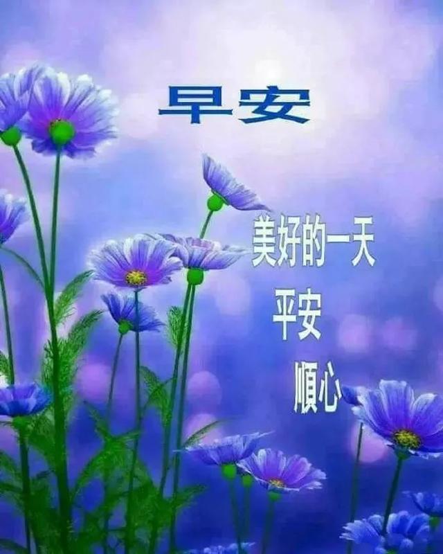 早安,每天一份真挚的至诚惦念,愿你心情美丽一整天