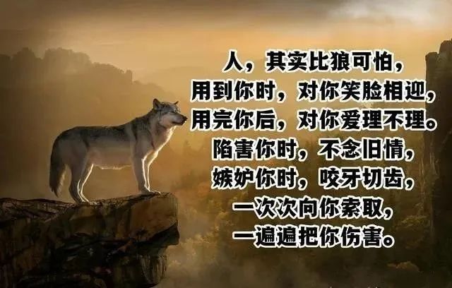 貌狼什么道成语