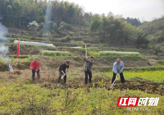 泸溪兴隆场人口搬迁_生意兴隆图片