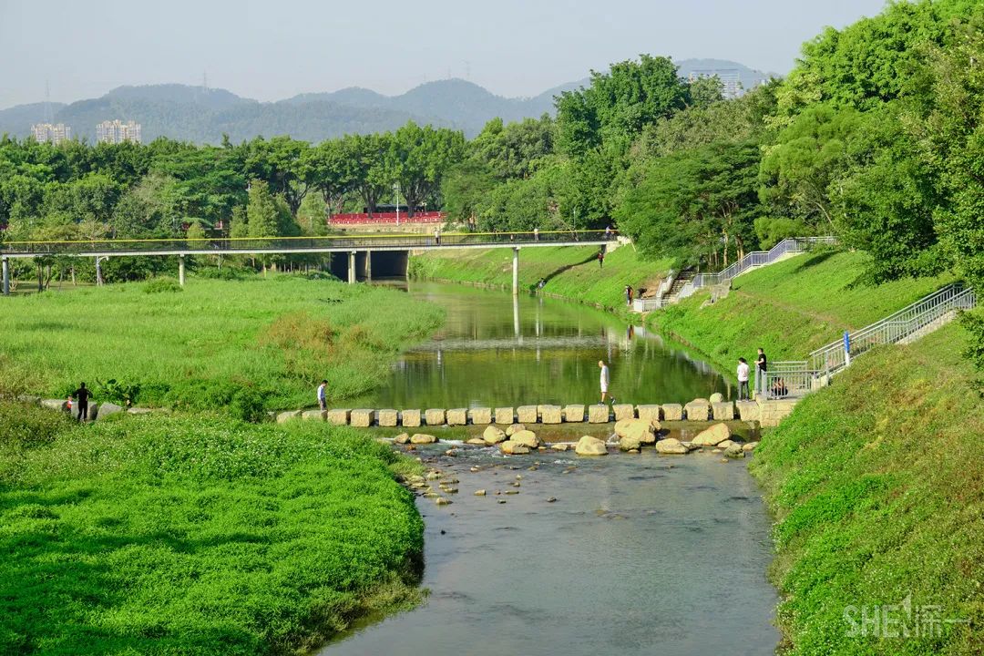 西涌海滩 深圳不仅有湛蓝的大海 深圳有见证深圳发展的河流 深圳有流