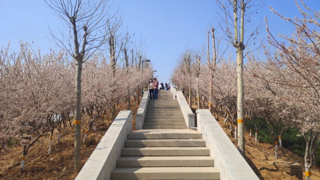 石家庄西三环有个野趣满满的湿地公园_南高基