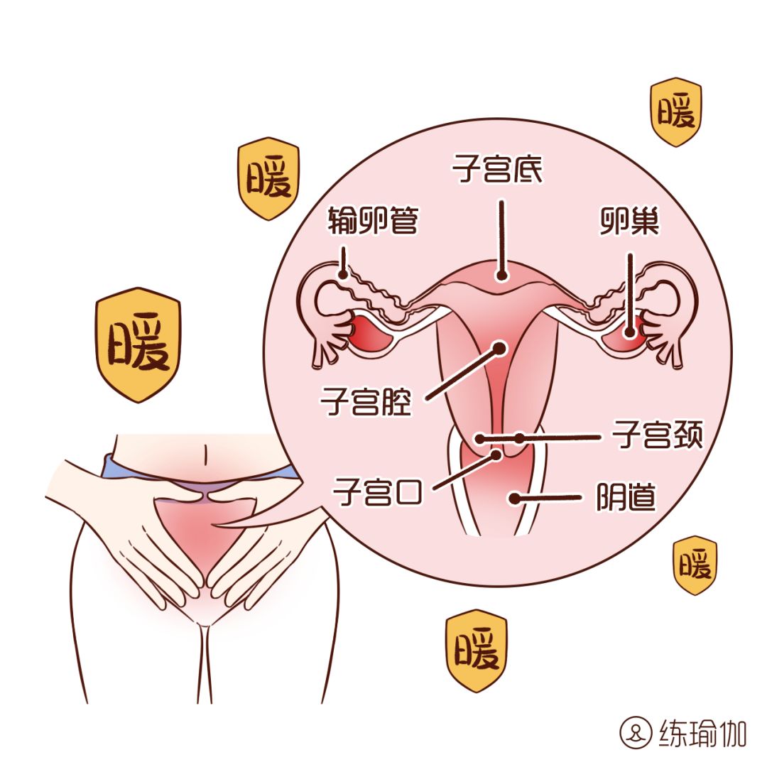 原创适合女人滋养内在的体式每天一遍按摩拉伸腹股沟气色好