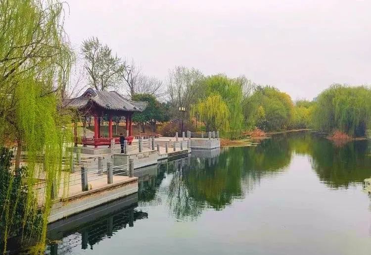 出生于阿,鄄之间(今山东省菏泽市鄄城县北),是孙武的后代.