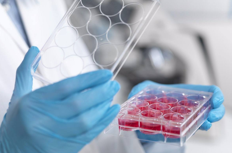 67什么是干细胞临床实验我国的干细胞技术为何还不能普及与推广