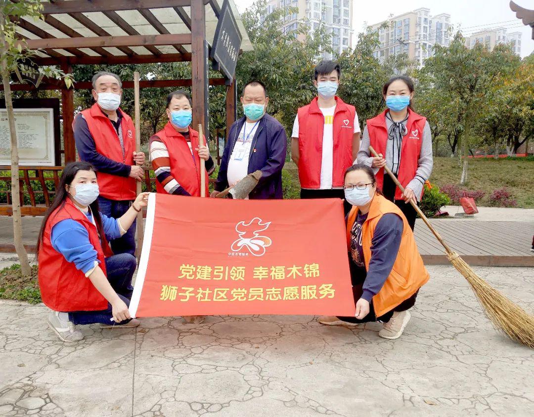 防诈骗宣传卫生整治党员志愿服务队在行动
