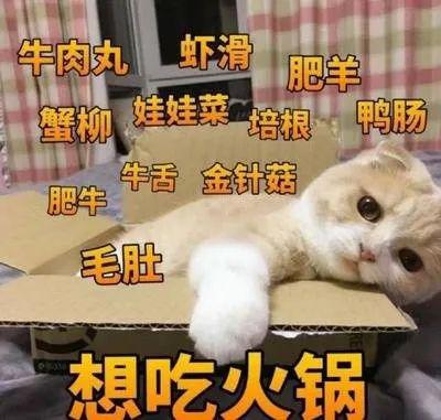 「烤肉」堂食回归!火锅、烤肉……我们可以“坐着吃”啦!,