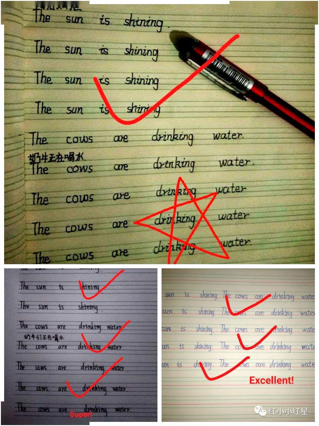 活动英语怎么记 d8b1c7ba652d40429e567a736e9e09ea.jpeg