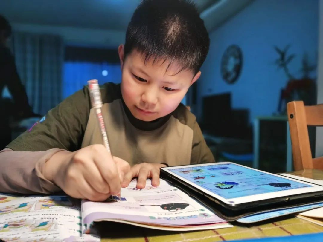 焦东人物硬核男孩的养成焦东路小学五年级八班的曲恩泽