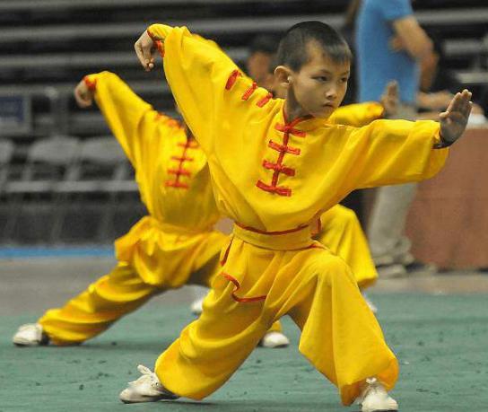 北京武术专家名教为青少儿武术成果展助威助力
