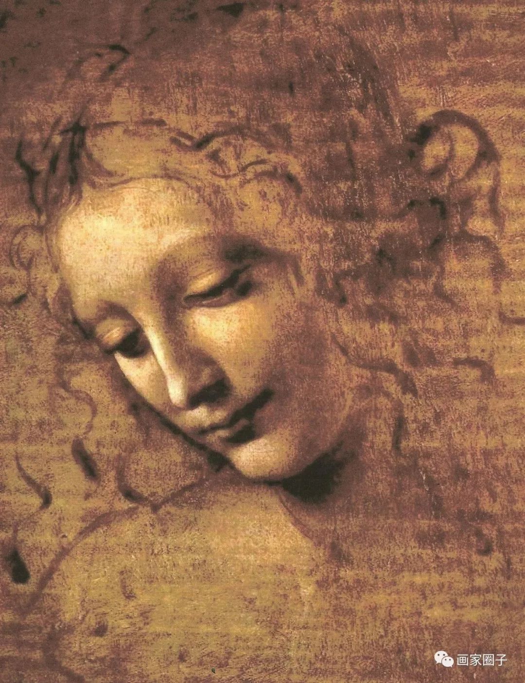 ͼƬ8