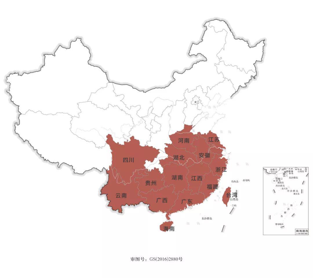 一篇文章看完全中国99%的茶(一定要收藏)