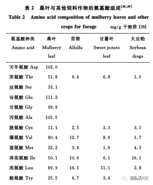 采桑小曲简谱_采桑舞简谱(3)