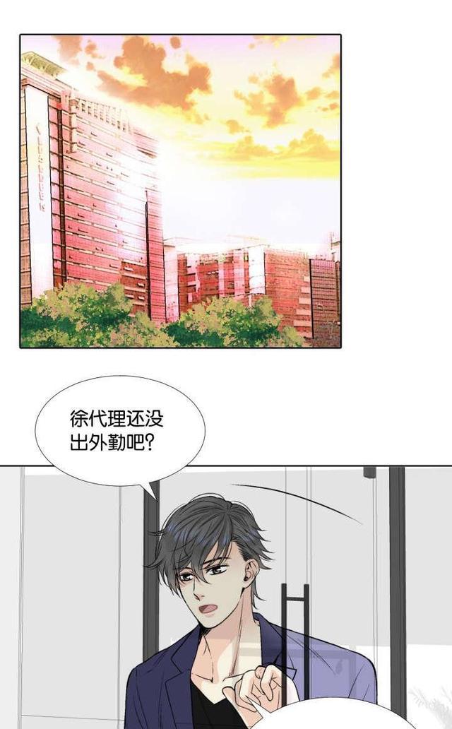 漫画我的黑道老公