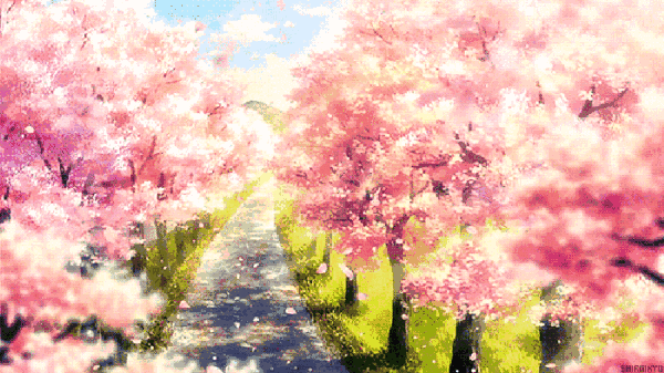 壁纸 花 桌面 600_337 gif 动态图 动图