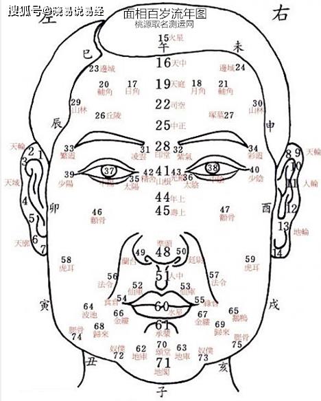 面相学分析解答:麦当娜好友,马克布鲁姆因感染新冠肺炎去世