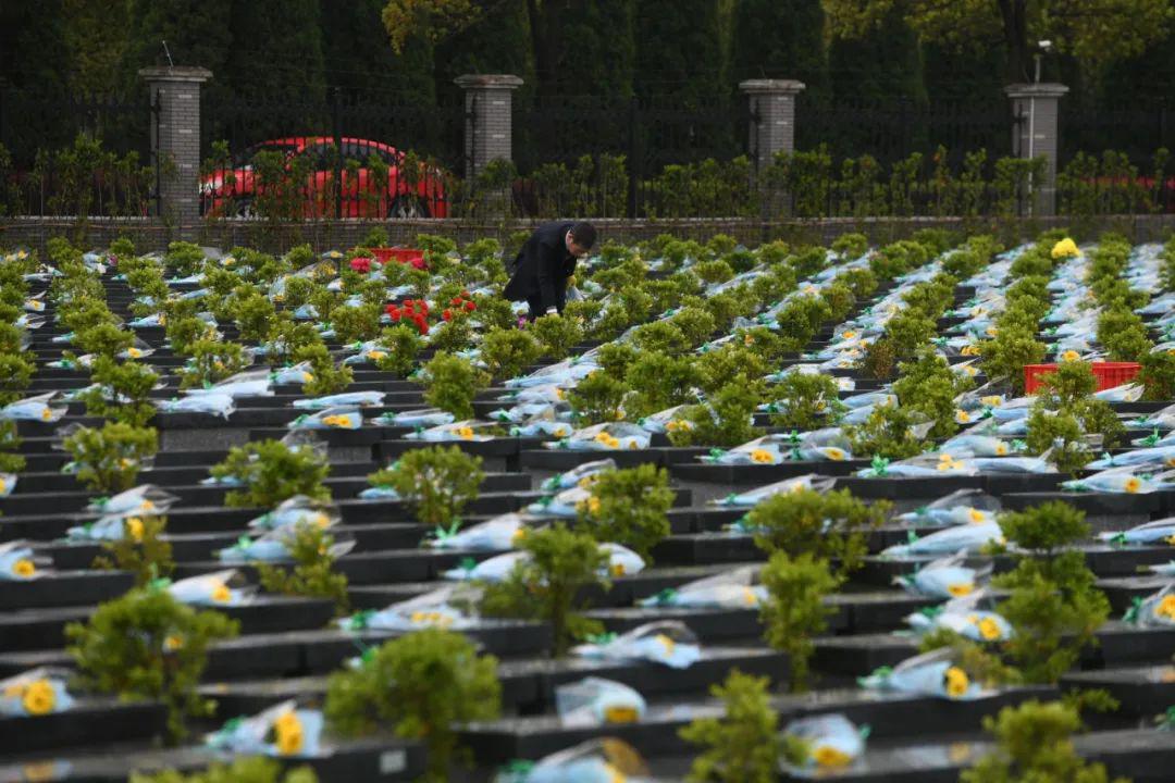 一束菊花寄哀思