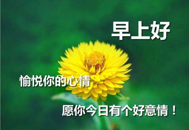 生命没有草稿,年华不容浪费,朝着一个目标不停地向前,让梦想照进现实