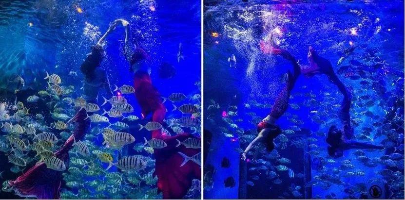 遨游世界在哪玩 1f37cc28ca504f7398e844d52fee2980.jpeg