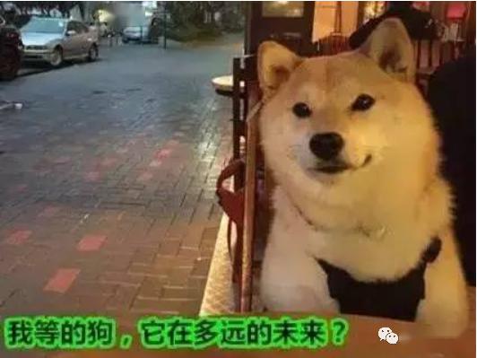 都能让单身狗哭晕在厕所不用刻意秀肌肉男女在一起做的事有一个志同