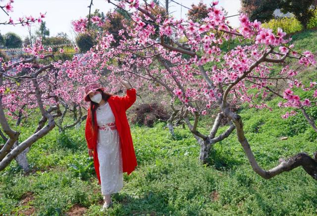 桃花岭生态园位于襄阳城南姚庵村