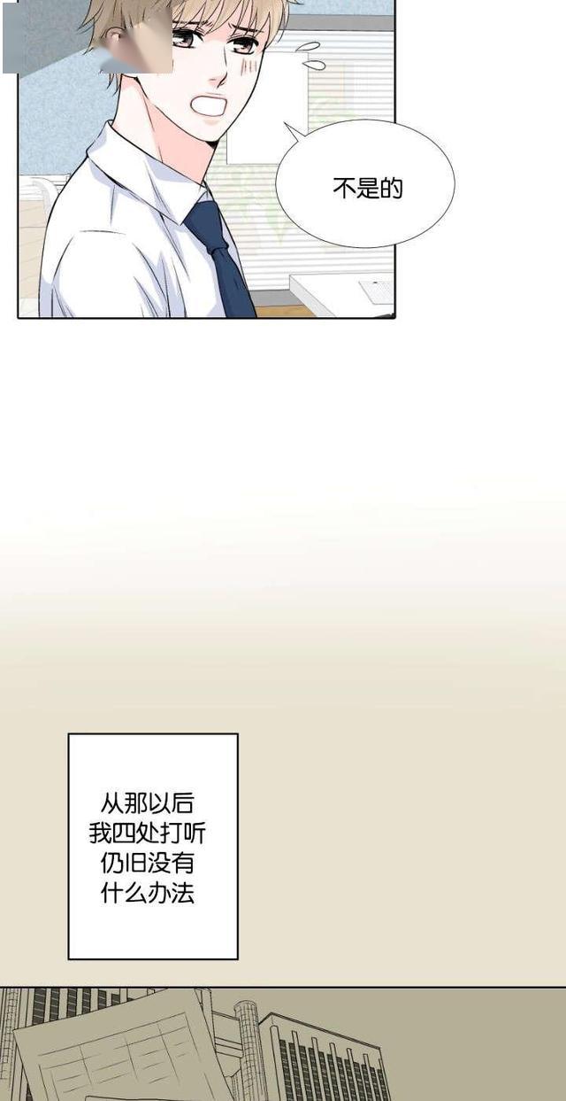 漫画我的黑道老公