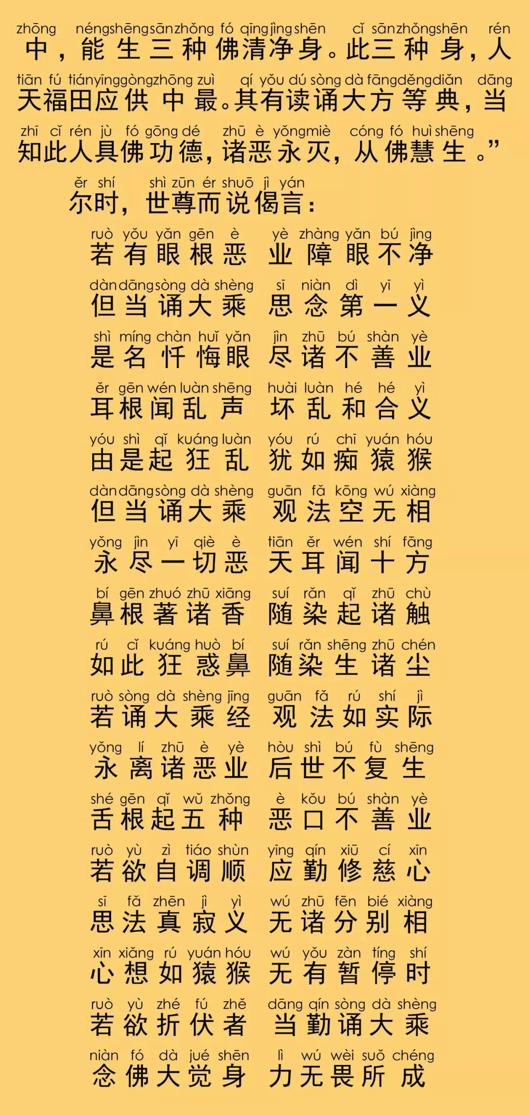 关于简谱佛(3)
