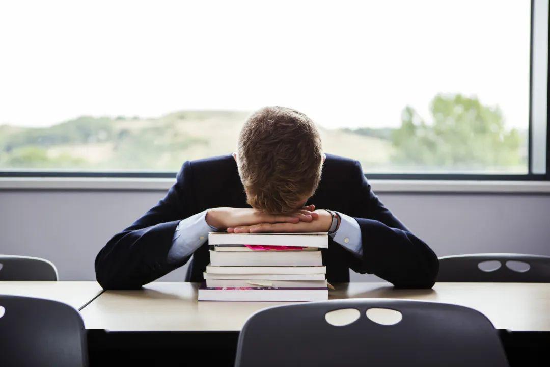 什么是精英教育 3348739a7279451283d6d8742d758cdb.jpeg