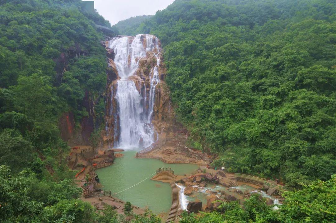 春风十里,繁花初盛,梅州市这些a级景区陆续有序开园迎春色