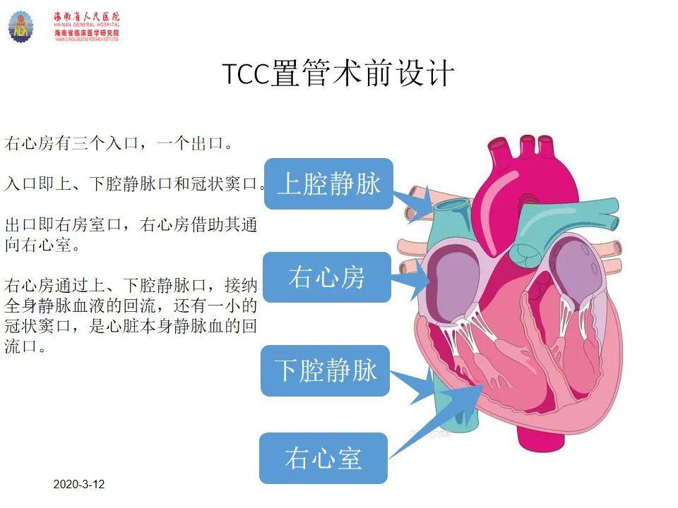 【ppt】血液透析长期导管置管技巧