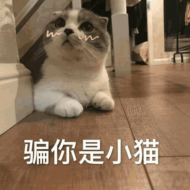 什么理什么容 43a088b2c22e445cb1b2f3f74ca1a1c9.jpeg