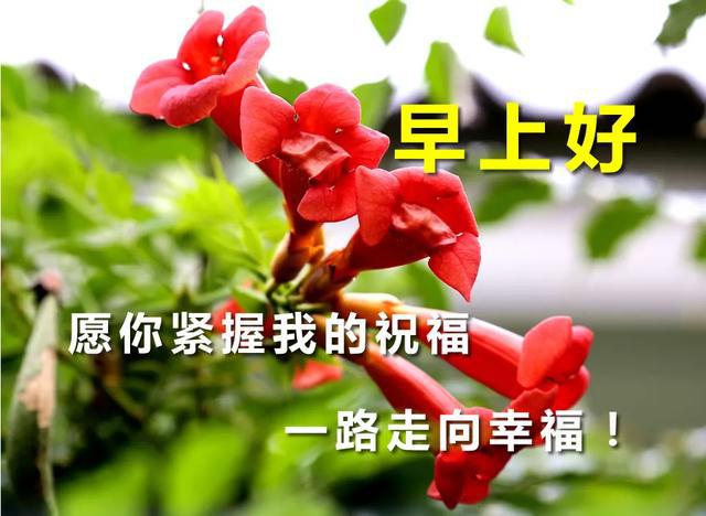 2020ϺףͼƬ鶯 Ư簲ͼƬȫ