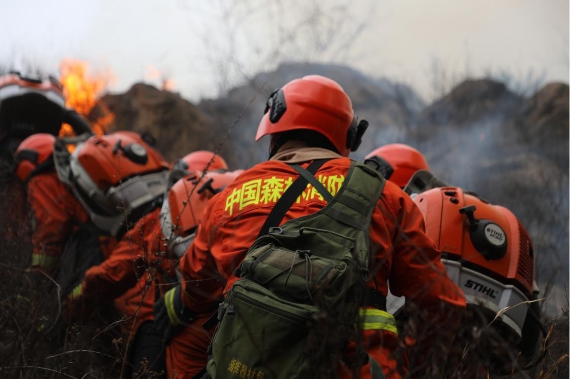 应急管理部派工作组赴河南火灾现场|应急管理部|火灾|河南省_新浪新闻
