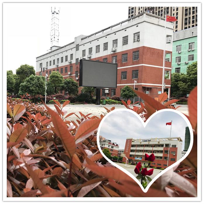 九华吉利学校菁菁校园满目春色待你归