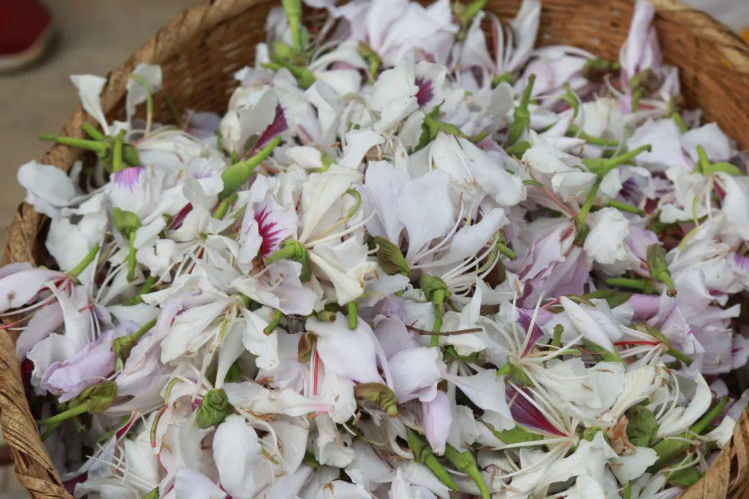 白露花开幸福来各得其乐处处春