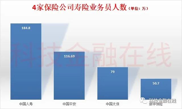 平安人均保费_平安健康图片(3)