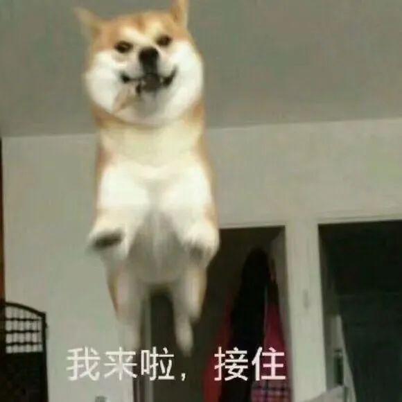 她的搜索词条哈哈哈笑到打鸣