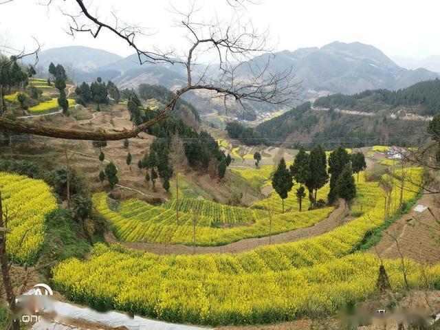 对汉中勉县漩水坪及新铺镇旅游提升的几点思考与建议