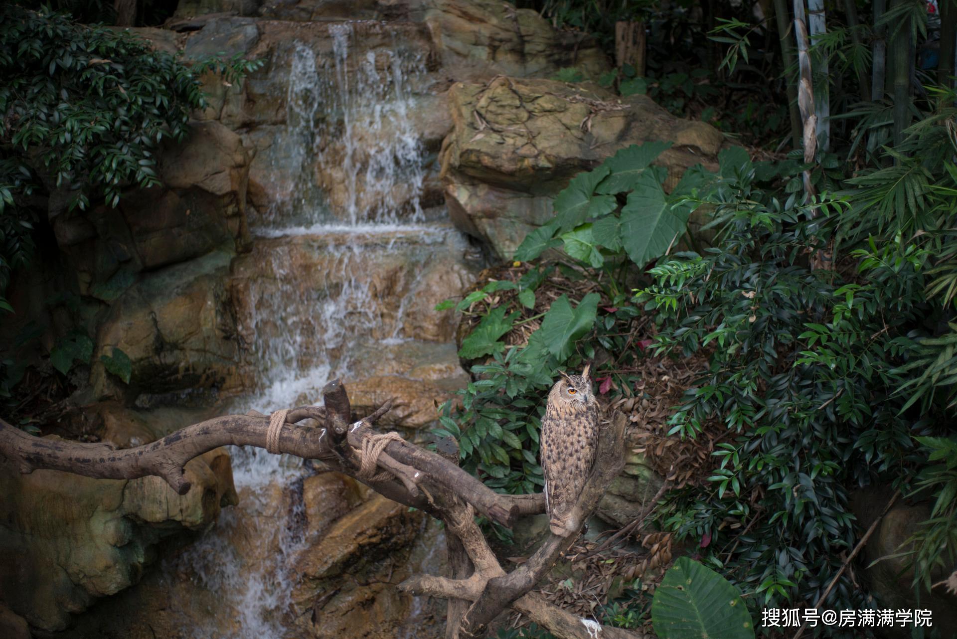 邂逅广州白云山隐享一段精致曼妙的旅行再赴一场酒店之约