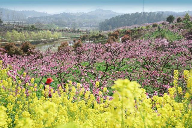 射雕英雄今何在?桃花岭,襄阳城中的诗意田园