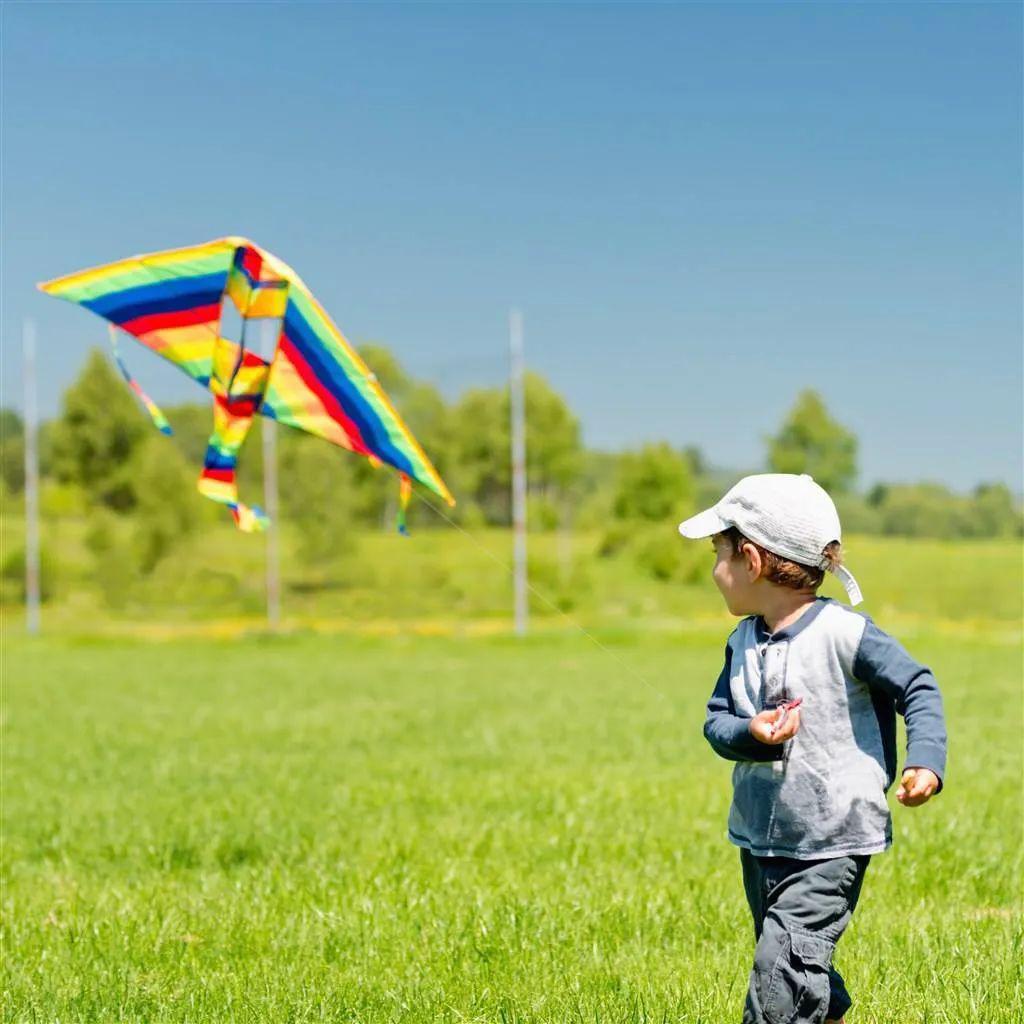 好玩  ·抓一把春天  春天 是午后放飞的风筝 一定是孩子童年最美好的