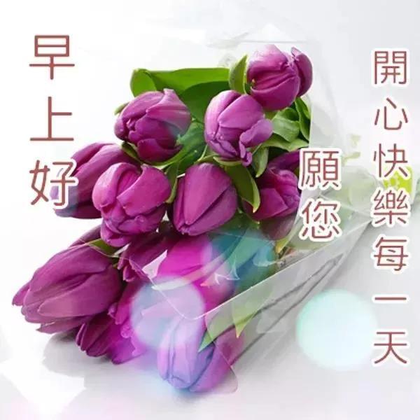 早上好问候语图片 早安祝福语漂亮图片