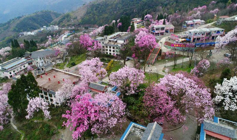 北川药王谷