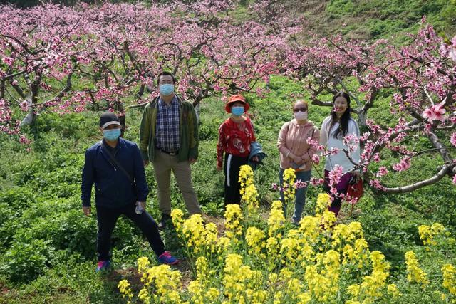 射雕英雄今何在?桃花岭,襄阳城中的诗意田园