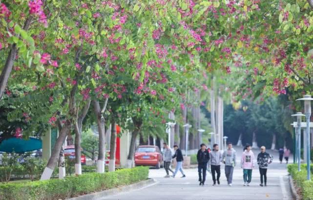「南洋」一定有你心仪专业！这所院校春季招生计划占全年招生数75%