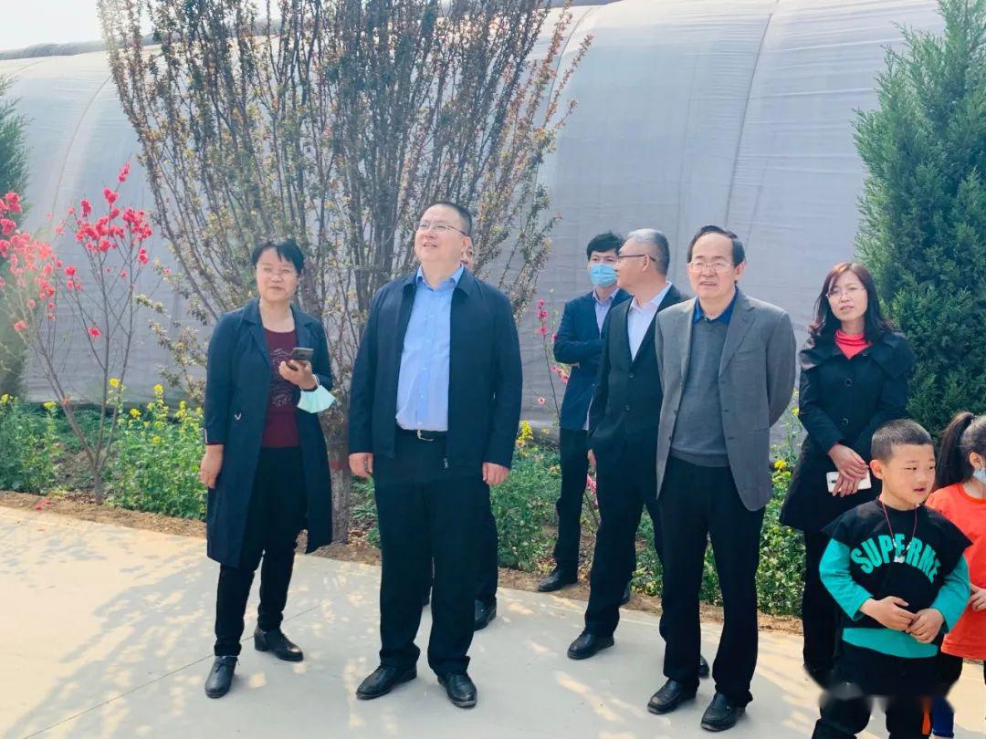3月25日,徜徉在新绛县万安镇万亩桃花园内,一簇簇粉红饱满的桃花争相