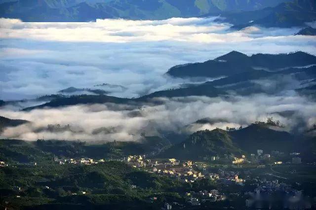 信宜曾上榜"广东省旅游风情小镇"的小镇,将被打造成绝美花之谷