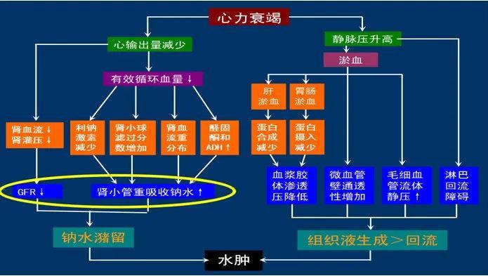 白玲教授:心力衰竭时代谢紊乱的识别和处理