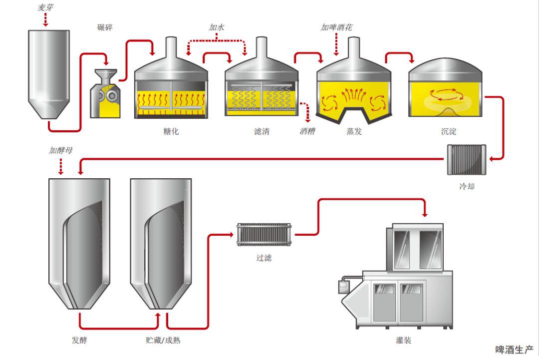啤酒发酵工艺应用