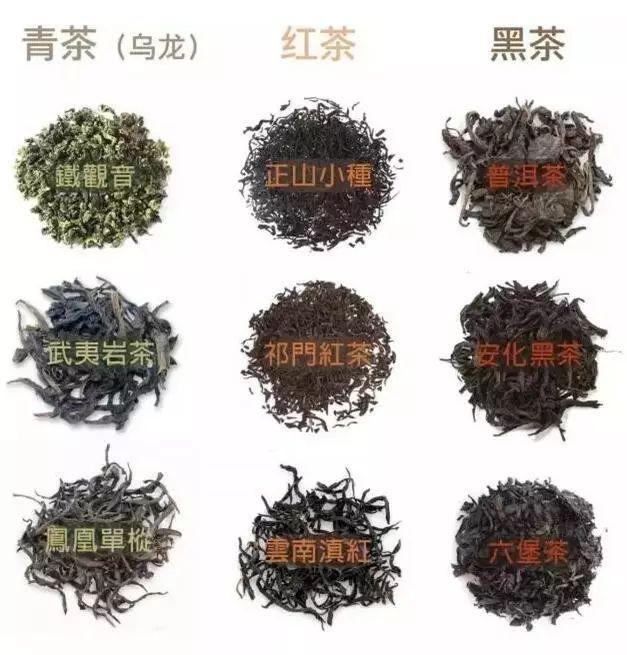 茶的种类很多,常见的有绿茶,花茶,红茶,白茶,乌龙茶,普洱茶等.