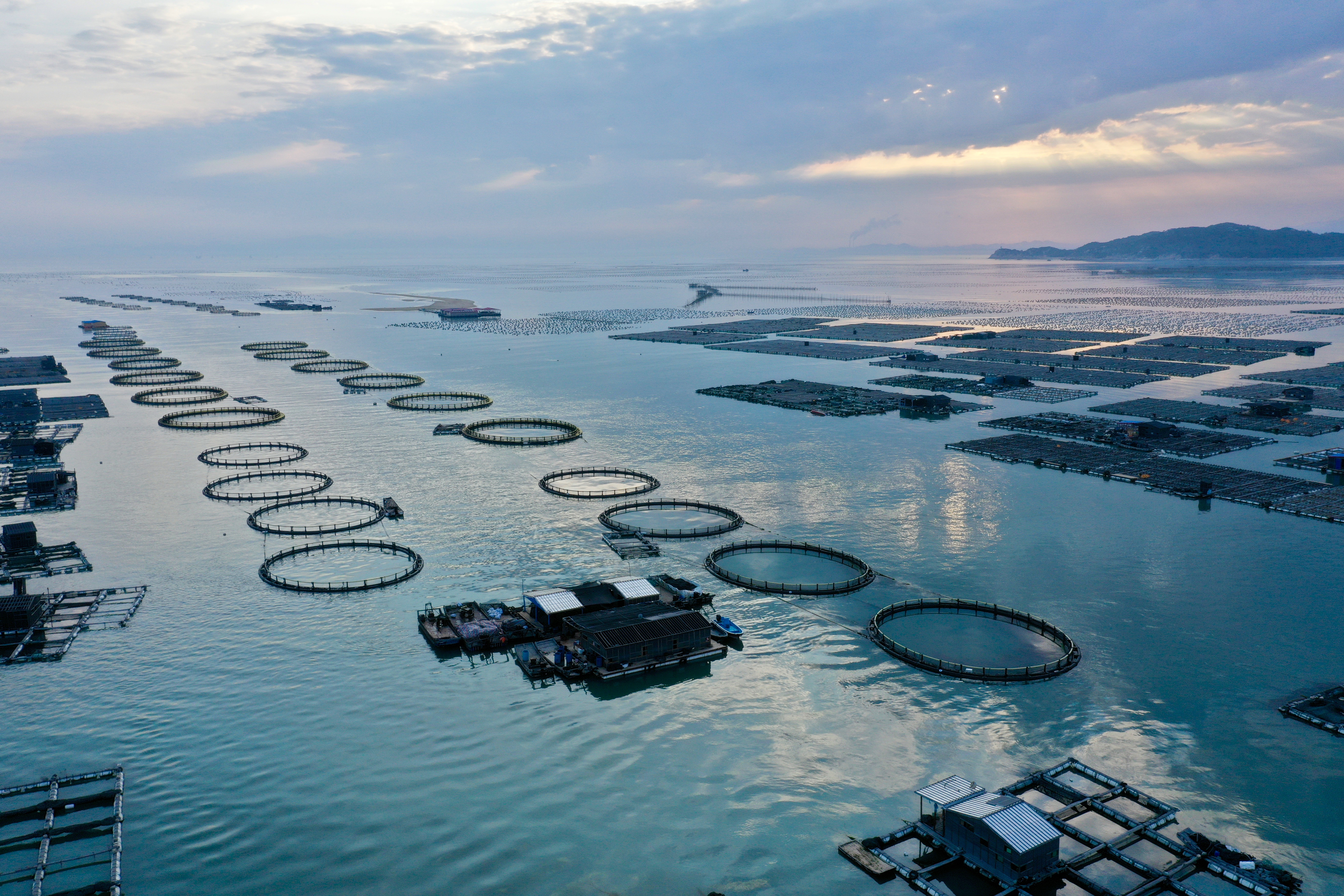 3月26日拍摄的福建省东山县陈城镇海上水产养殖区(无人机照片).